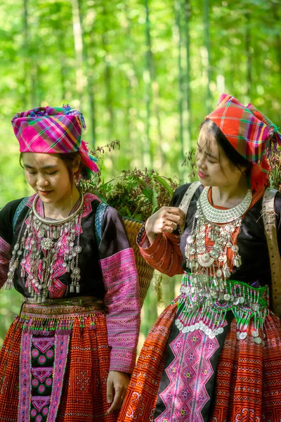 Люди Монг Этнического Меньшинства Красочных Костюмах Ходить Бамбуковом Лесу Чанг — стоковое фото