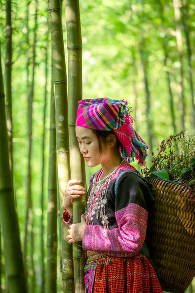 Ludzie Mong Mniejszości Etnicznej Kolorowym Stroju Sukienka Spaceru Lesie Bambusa — Zdjęcie stockowe
