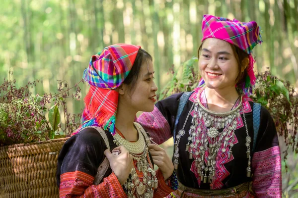People H\'mong ethnic minority with colorful costume dress walking in bamboo forest in Mu Cang Chai, Yen Bai province, Vietnam. Vietnamese bamboo woods. High trees in the forest. Selective focus.