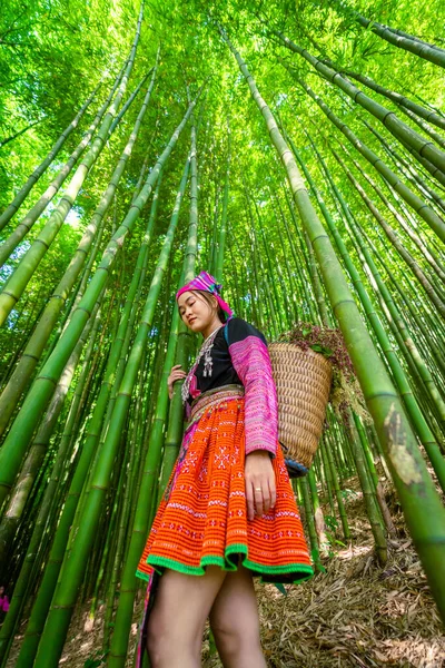 Pessoas Minoria Étnica Mong Com Vestido Colorido Traje Andando Floresta — Fotografia de Stock