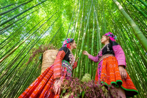 Άνθρωποι Mong Εθνοτική Μειονότητα Πολύχρωμο Φόρεμα Κοστούμι Περπάτημα Στο Δάσος — Φωτογραφία Αρχείου