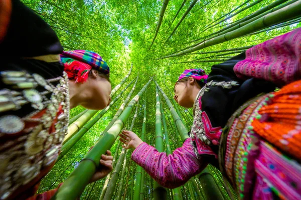 People H'mong ethnic minority with colorful costume dress walking in bamboo forest in Mu Cang Chai, Yen Bai province, Vietnam. Vietnamese bamboo woods. High trees in the forest. Selective focus.