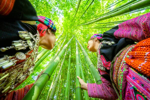 Pessoas Minoria Étnica Mong Com Vestido Colorido Traje Andando Floresta — Fotografia de Stock