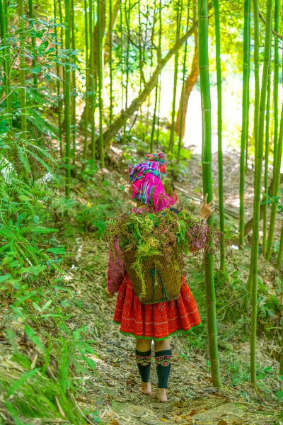 Pessoas Minoria Étnica Mong Com Vestido Colorido Traje Andando Floresta — Fotografia de Stock