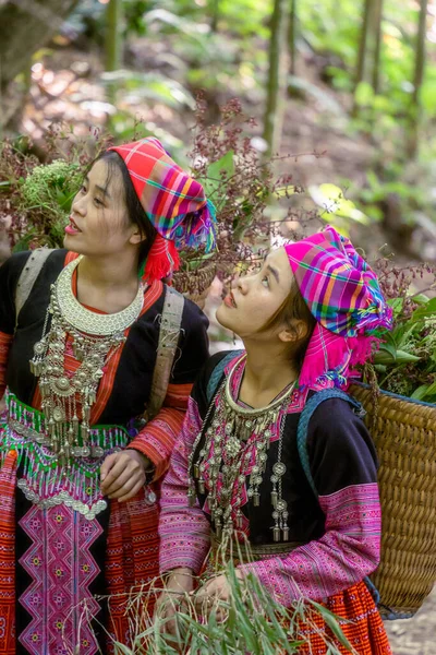 Pessoas Minoria Étnica Mong Com Vestido Colorido Traje Andando Floresta — Fotografia de Stock