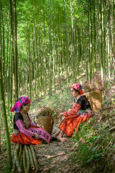 사람들은 의상을 베트남 지방의음 대나무 민족이다 베트남 대나무 나무들 선택적 — 스톡 사진