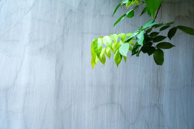 Soyut beton duvar dokusu ve arka plan. Modern duvar kâğıdı. Duvarın bazı grunge efektleri ve çizgileri vardır. Arkaplan ve doku kavramı.