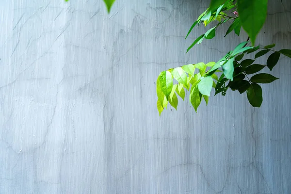 Abstrakt Cementvägg Struktur Och Bakgrund Modern Ympig Tapet Vägg Har — Stockfoto