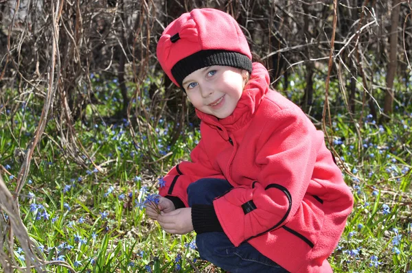 The girl  collects snowdrops — Stock Photo, Image