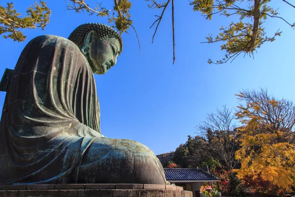 Amida Buddha — Stock Photo, Image