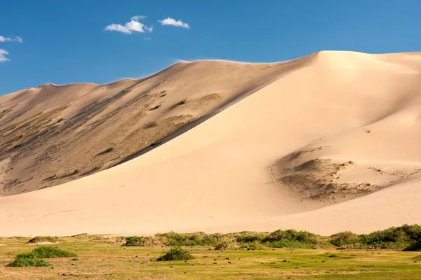 Khongoryn Els — Fotografia de Stock