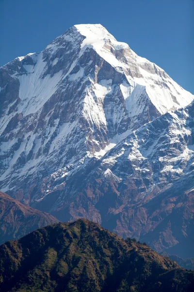 Summit of Dhaulagiri from South — Stock Photo, Image