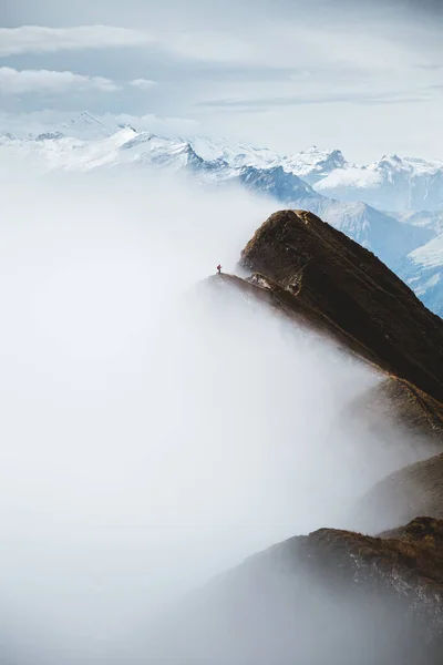 有复制空间的生活在边缘 男摄影师高举双手站在山顶上 四周都是薄雾 在多雾的群山中的人在悬崖边独自旅行积极的生活方式户外活动 — 图库照片