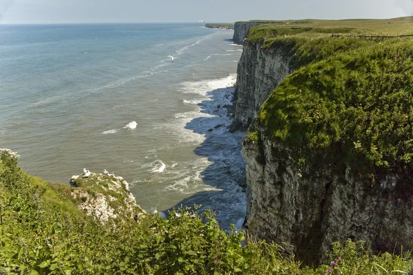 Cliff toppar, Bempton klippor, Yorkshire, Unitrd kungariket. — Stockfoto