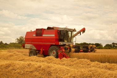 Arpa ürün toplama.