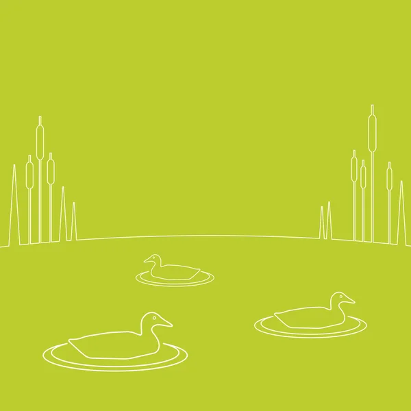 Vector illustration of ducks — Stock Vector
