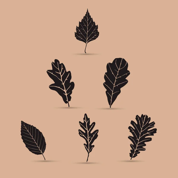 Set di foglie, sagome, illustrazione vettoriale — Vettoriale Stock