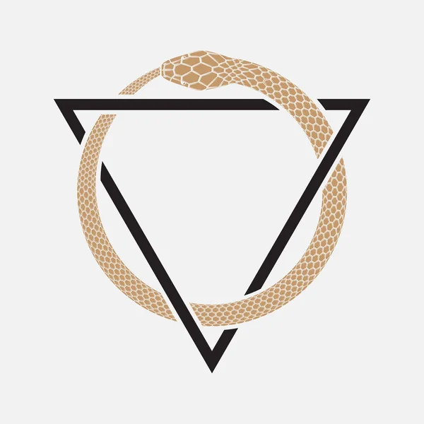 Símbolo Ouroboros Com Triângulo Ilustração Vetorial Isolada Sobre Fundo Branco — Vetor de Stock
