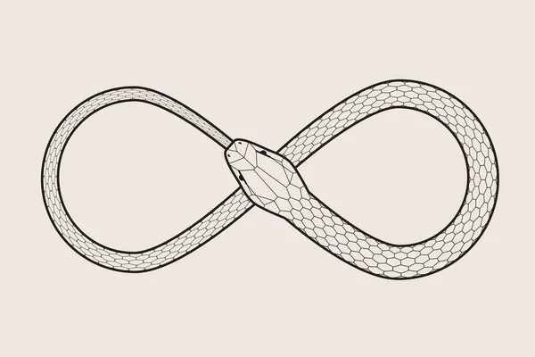 인피니티 네이크 보로스의 상징이지 꼬리를 파충류 죽음의 순환입니다 Vector Illustration 벡터 그래픽