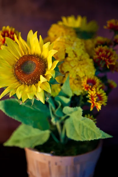 Agosto Flores — Fotografia de Stock