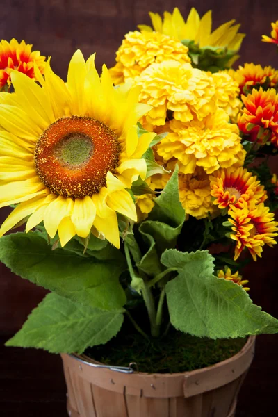 Augusztus virágok — Stock Fotó
