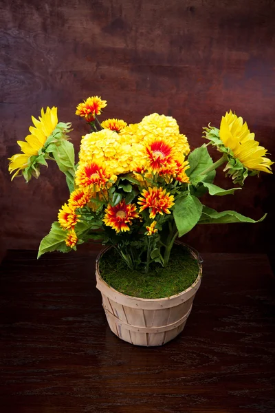 Fiori di agosto — Foto Stock