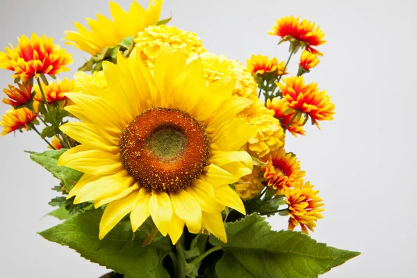 Augustus bloemen — Stockfoto