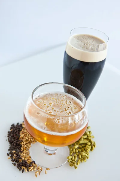 Beer Ingredients — Stock Photo, Image