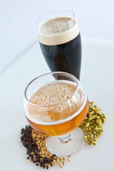 Ingredienti della birra — Foto Stock