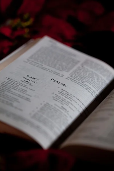 Biblia — Foto de Stock