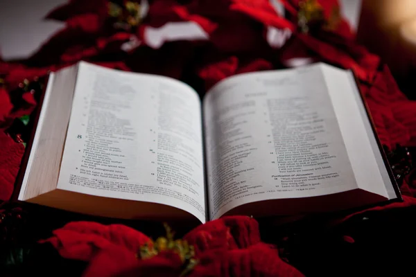 Biblia — Foto de Stock