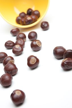 Buckeyes