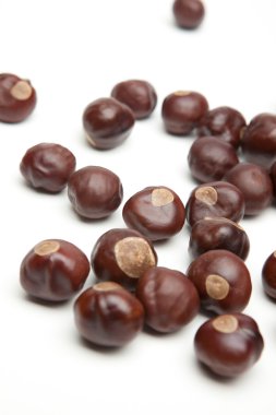 Buckeyes