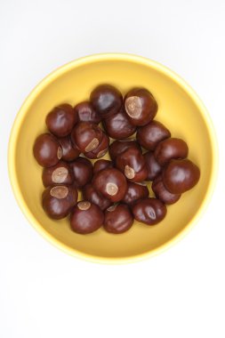 Buckeyes