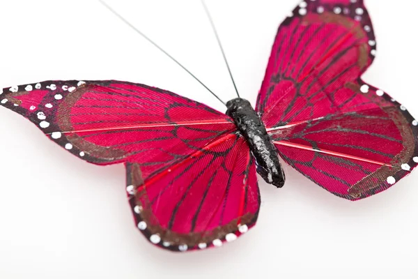 Mariposa. — Foto de Stock