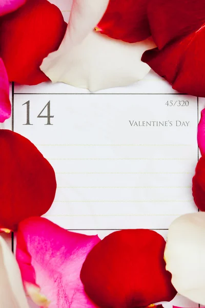 Valentine's Day — Stock Photo, Image