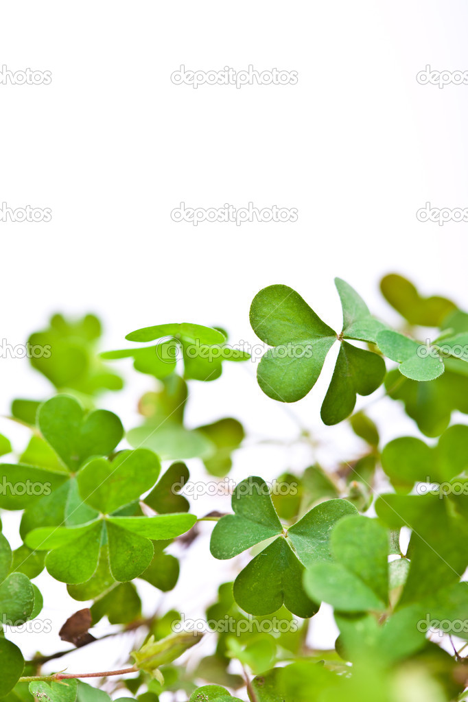Clover Clusters