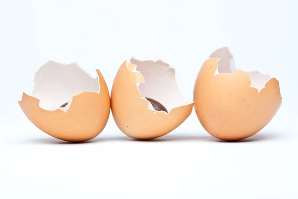 Cracked Egg Shells — Stock Photo, Image