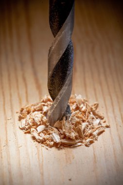 Леонова біт