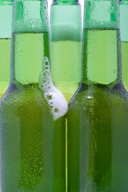 Yeşil bira şişeleri