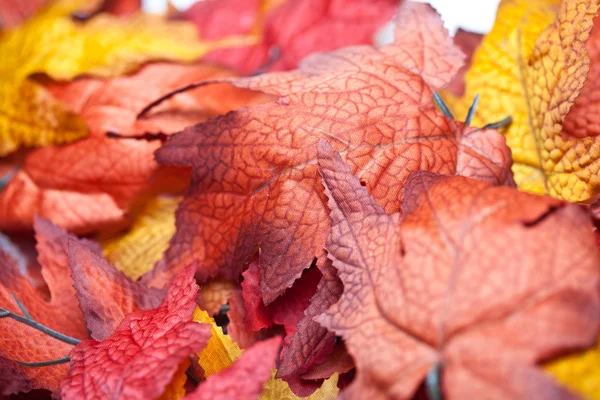 Herbstlaub — Stockfoto