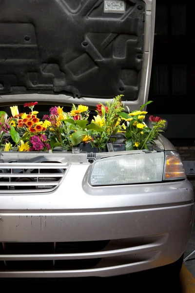 Carro verde Eco — Fotografia de Stock