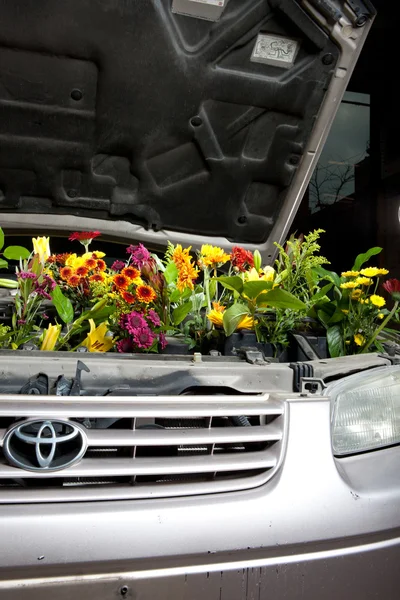 Green Eco Car — Stock Photo, Image