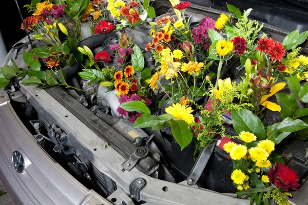 Voiture écologique verte — Photo