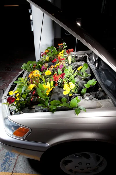 Green Eco Car — Stock Photo, Image