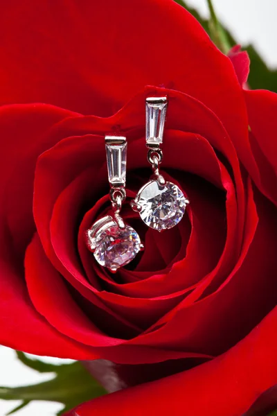 Pendientes de diamante y rosa — Foto de Stock