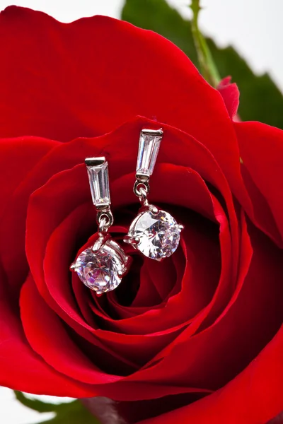 Diamant örhängen och rose — Stockfoto
