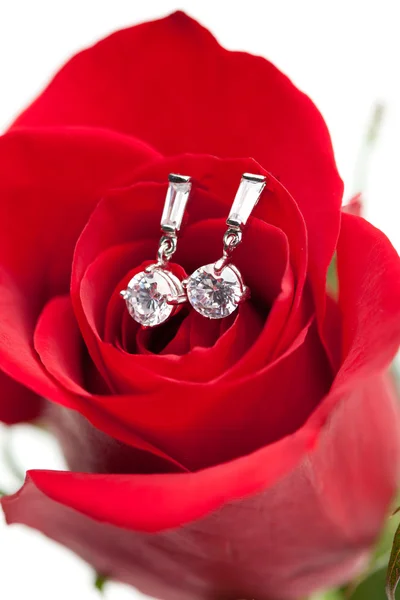Diamant örhängen och rose — Stockfoto