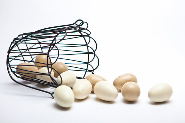 яйцо корзина
