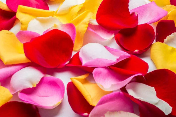 Boquete de flores — Fotografia de Stock